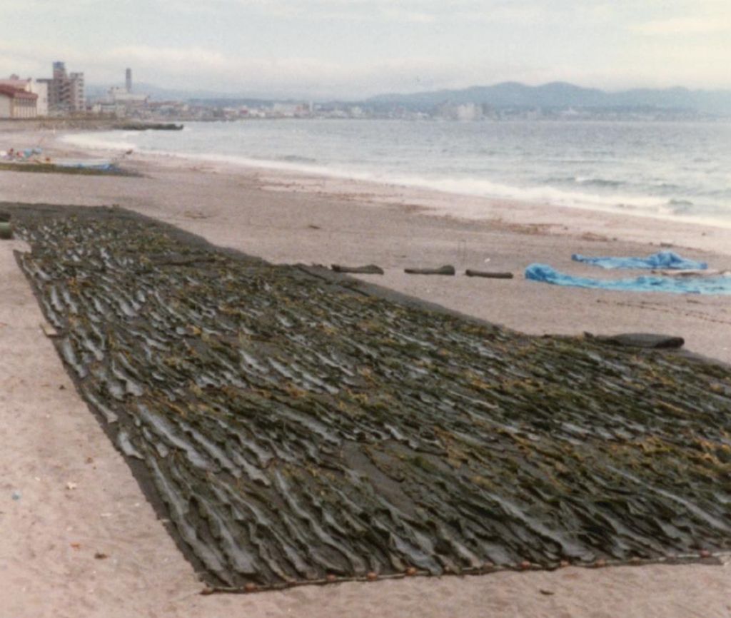 the beach was used to dry out nori (japanese seaweed)