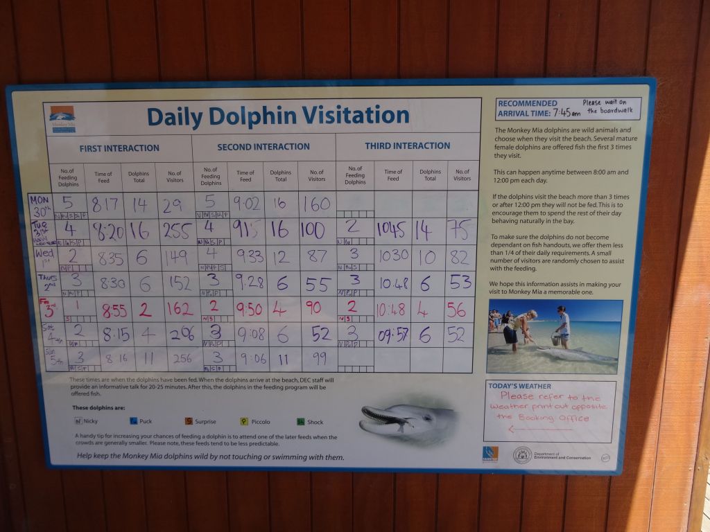 this board told us that we'd likely be out of luck for seeing dolphins that day